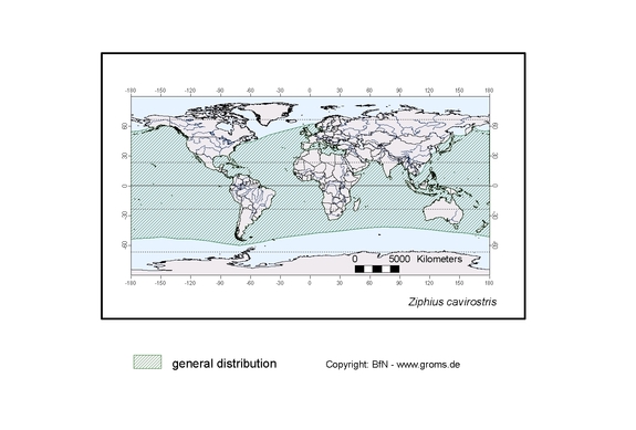 distributionmap of Ziphius cavirostris